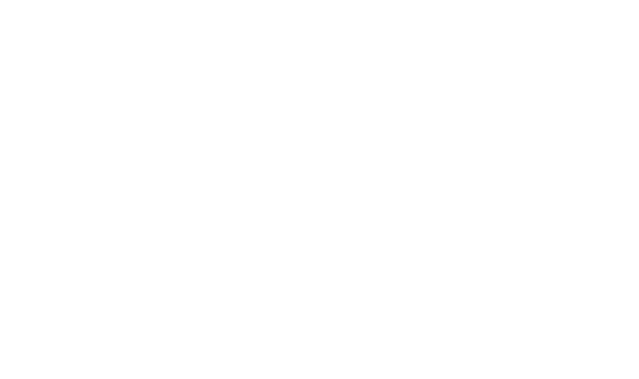 Lina Imaging, LLC logo